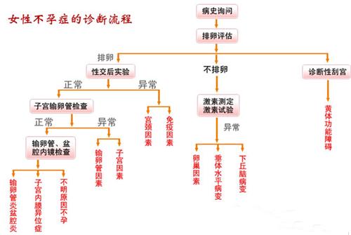 女性不孕症的诊断流程