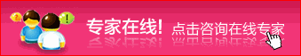 专家在线