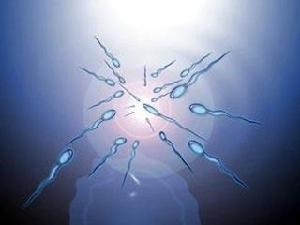 精子成活率低的原因