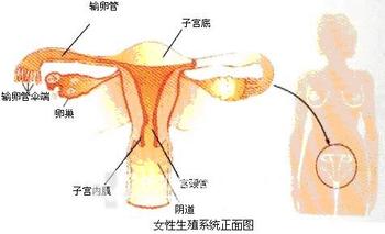 输卵管堵塞的原因是什么
