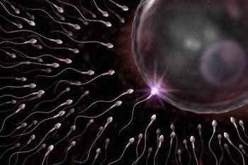 精子活力低有哪些症状?