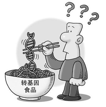 转基因食品是否会导致不孕不育
