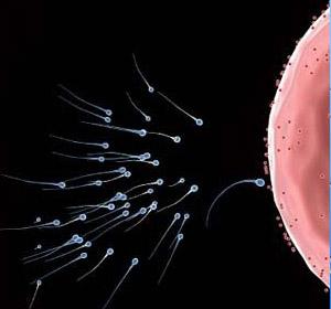 少精症的预防方法有哪些