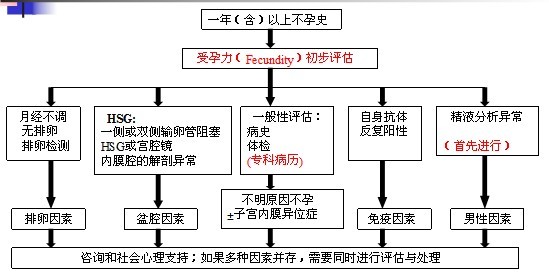 不孕不育病因排查临床路径管理图