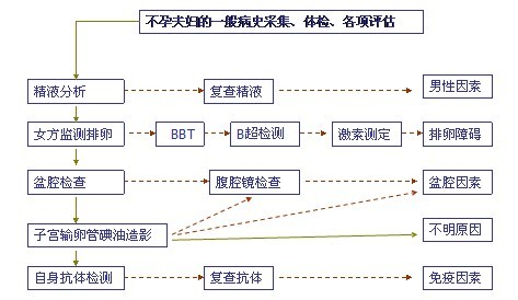 不孕夫妇的一半病史采集、体检、各项评估图