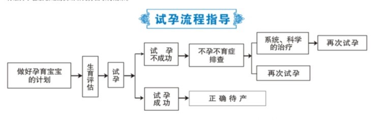 试孕流程指导图