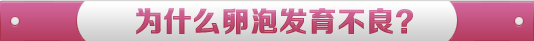 为什么卵泡发育不良？