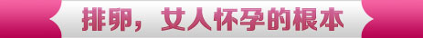 排卵，女人怀孕的根本